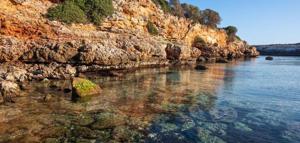 Rural Villa Can Guillem Boquet