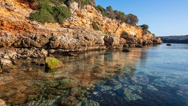 Rural Villa Can Guillem Boquet