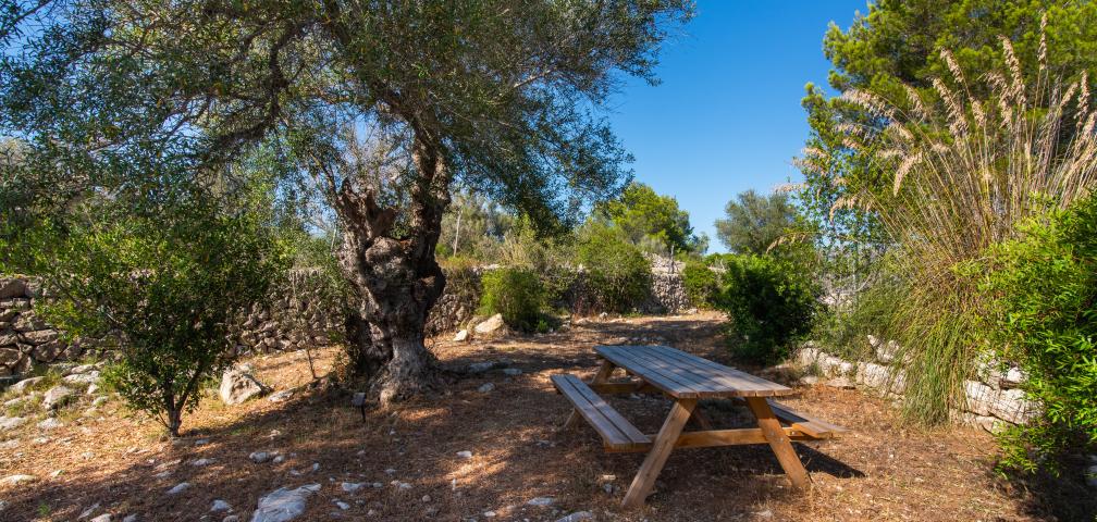 Rural Villa Can Colomer Ferragut