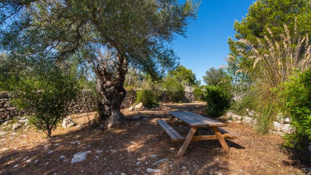 Rural Villa Can Colomer Ferragut