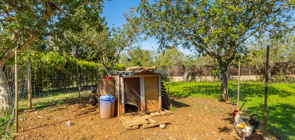 Rural Villa Cas Boter