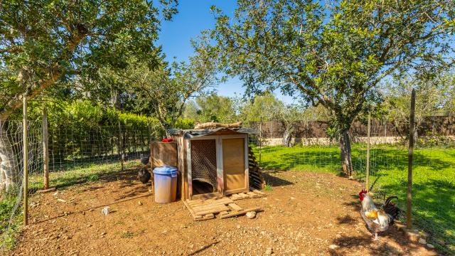 Rural Villa Cas Boter