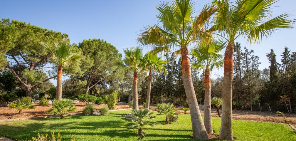 Rural Villa Cel i Sol