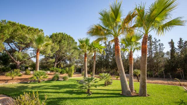 Rural Villa Cel i Sol