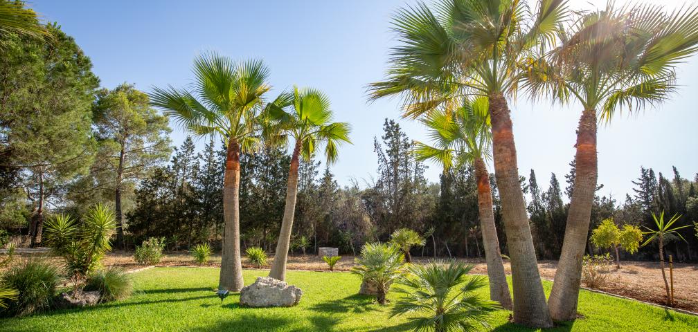 Rural Villa Cel i Sol