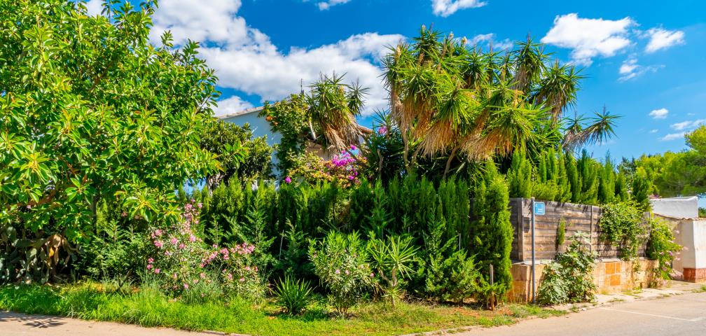 Urban Villa Casa Vindobona