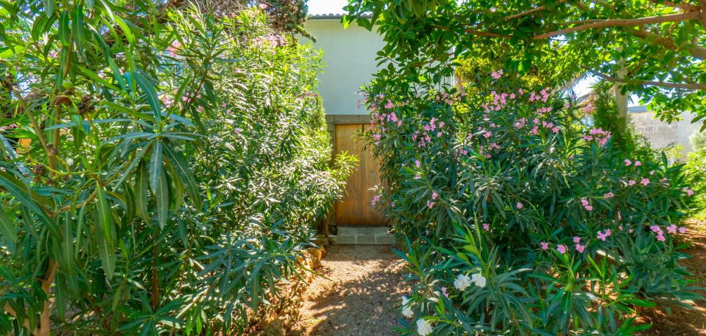 Urban Villa Casa Vindobona