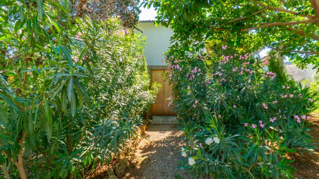 Urban Villa Casa Vindobona