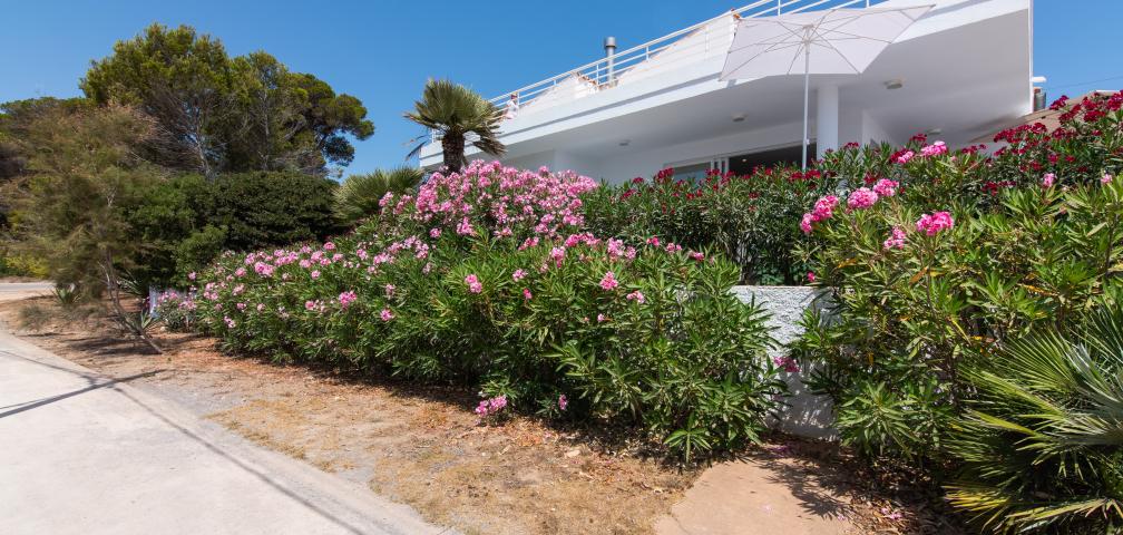 Urban Villa Na Pilena