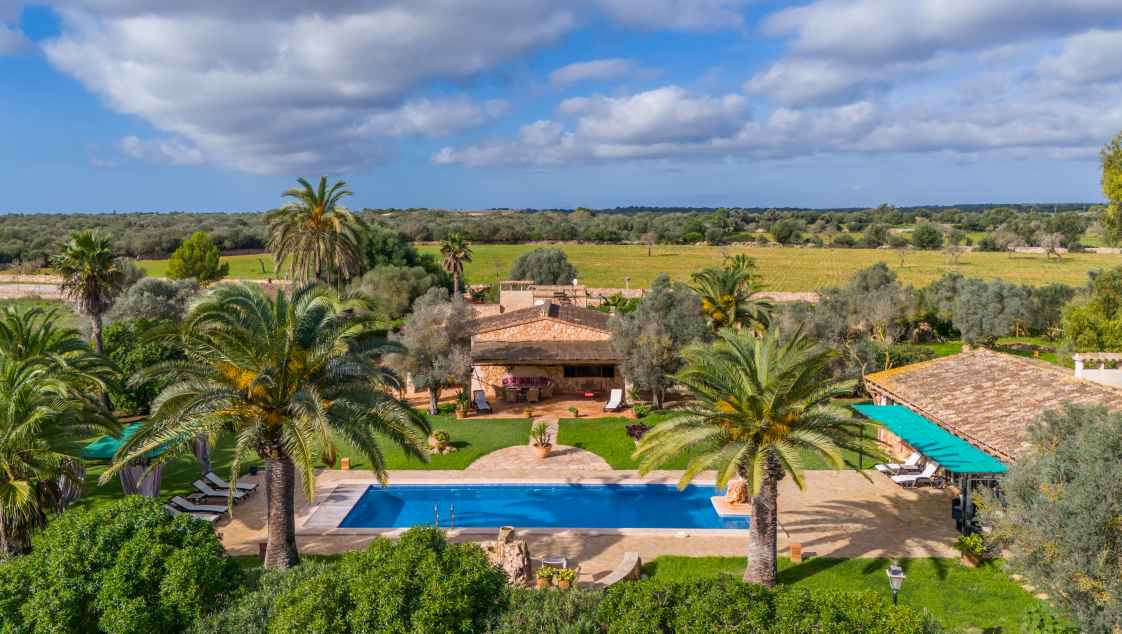 La Paloma