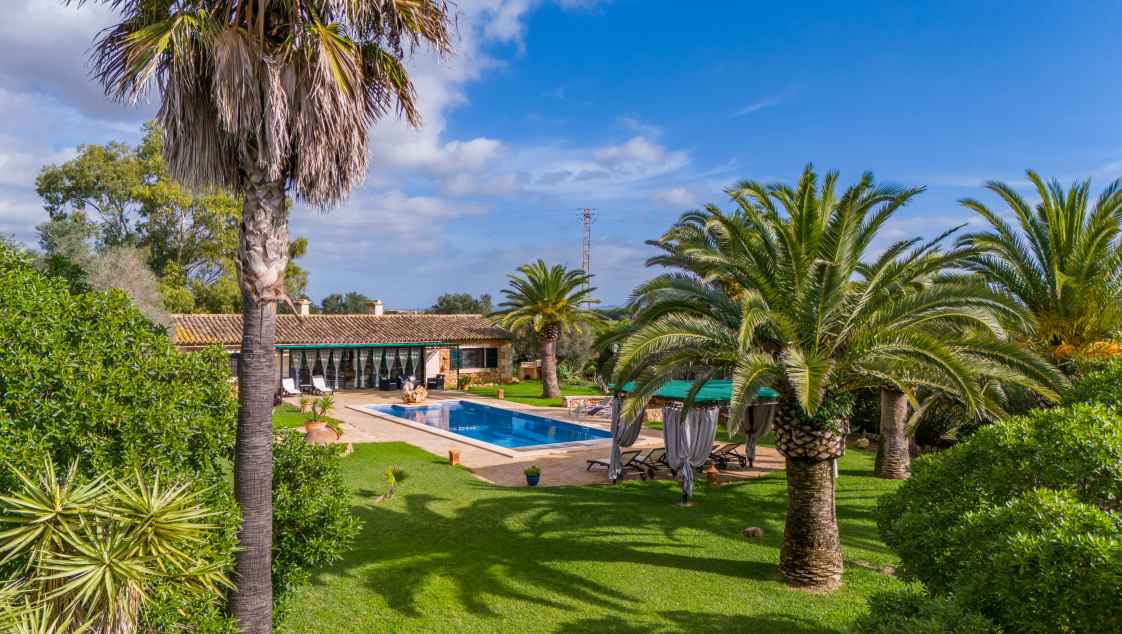 La Paloma