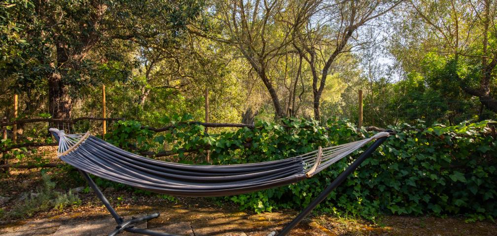 Rural Villa S’Hort de Carrossa