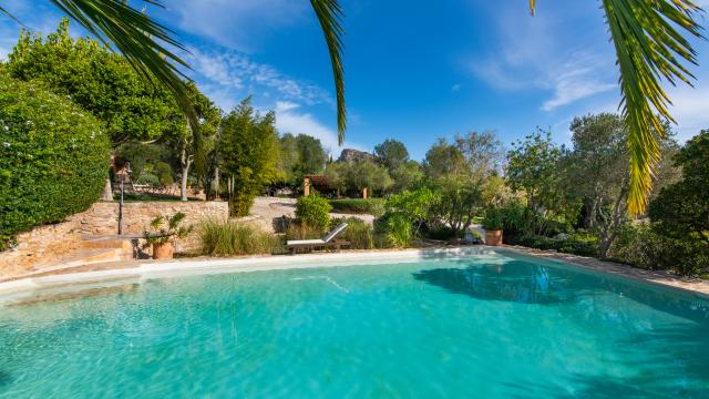 Rural Apartment Los Palmitos