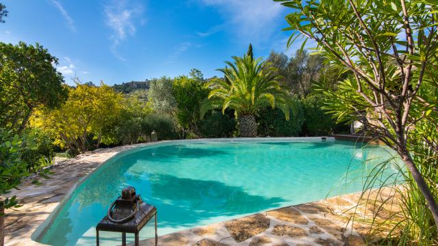 Rural Apartment Los Palmitos