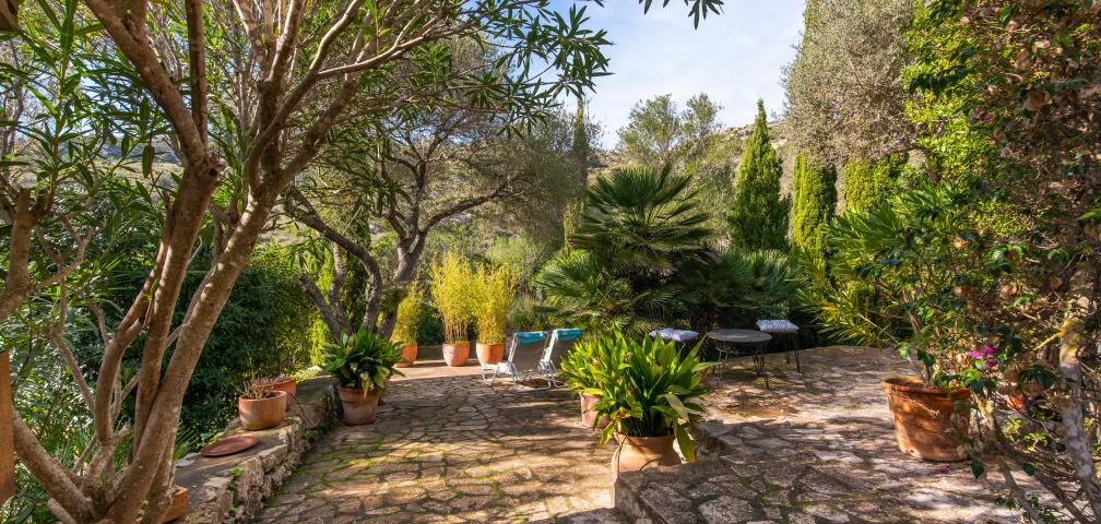 Rural Apartment Los Palmitos