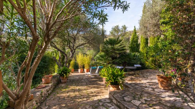 Rural Apartment Los Palmitos