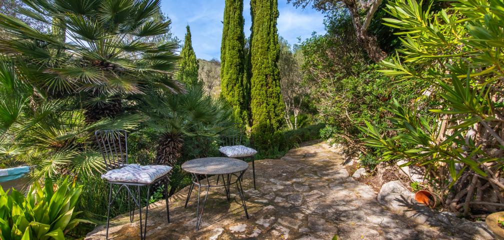 Rural Apartment Los Palmitos