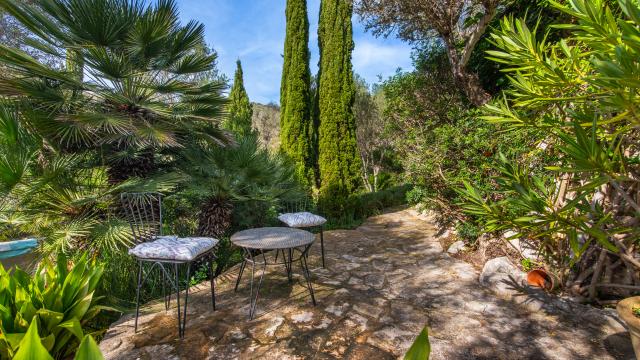 Rural Apartment Los Palmitos