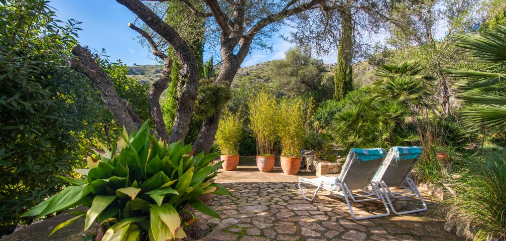 Rural Apartment Los Palmitos