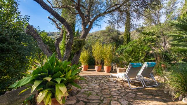 Rural Apartment Los Palmitos