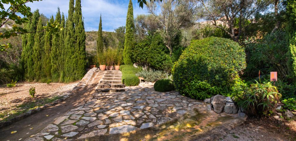 Rural Apartment Los Palmitos