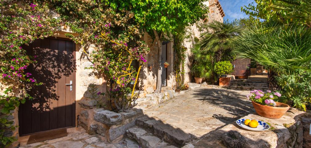 Rural Apartment Los Palmitos