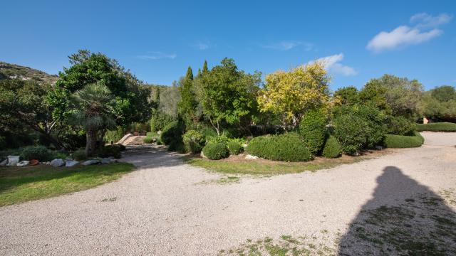 Rural Apartment Los Palmitos