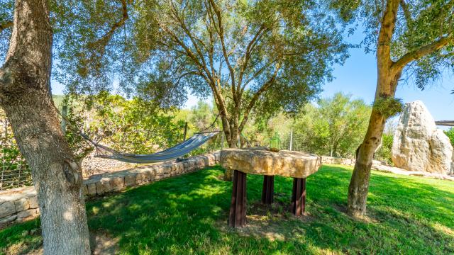 Rural Villa Sa Carbona