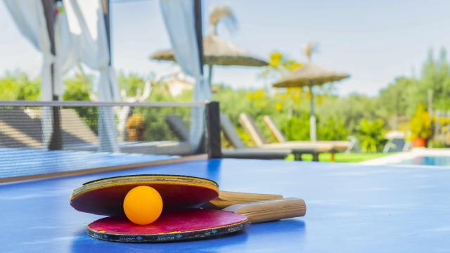 Finca Sa Pedrera den Miquel