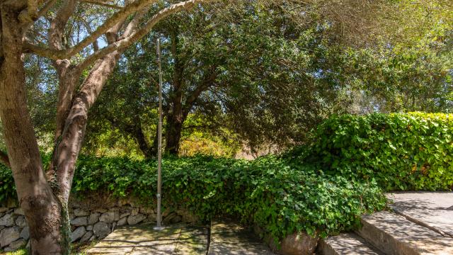 Rural Villa Es Romagueral