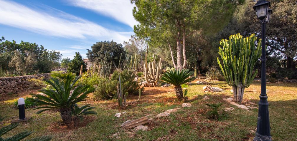 Rural Villa Son Paparra