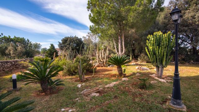 Rural Villa Son Paparra