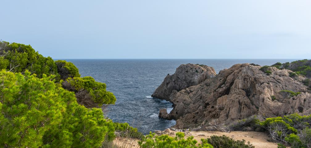 Urban Villa Arcadia 50