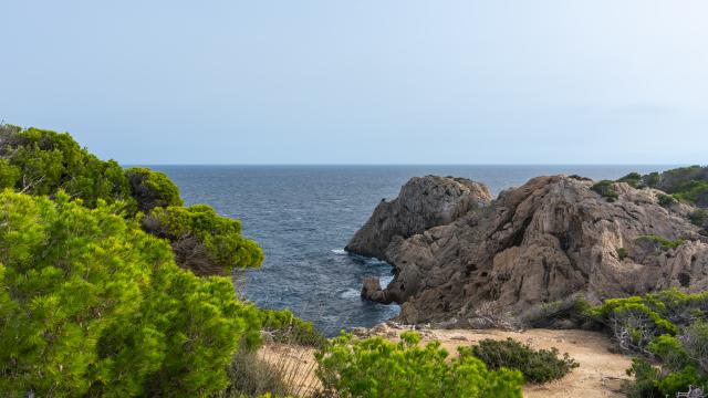 Urban Villa Arcadia 50