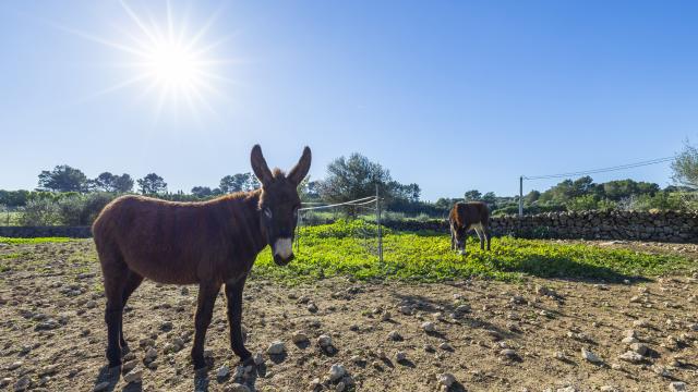 Rural Villa Na Banya