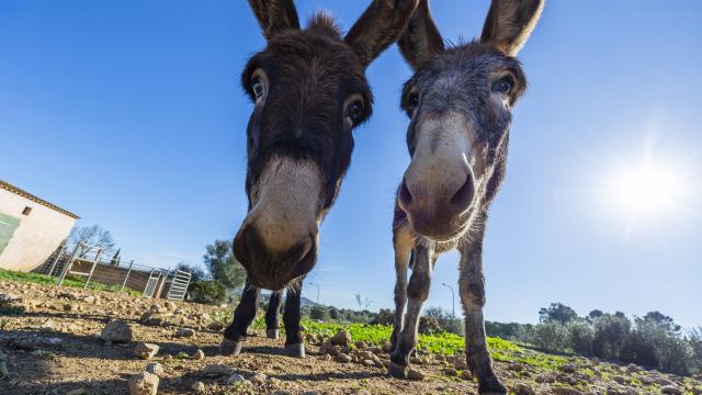 Rural Villa Na Banya