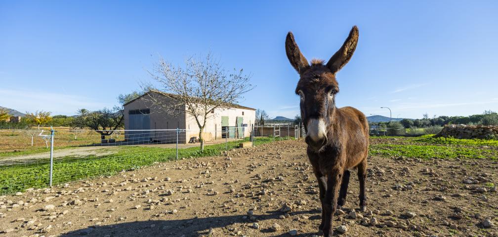 Rural Villa Na Banya