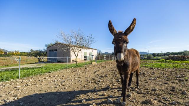 Rural Villa Na Banya