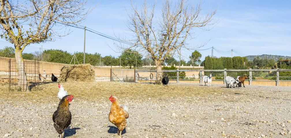 Rural Villa Na Banya