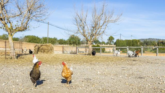 Rural Villa Na Banya