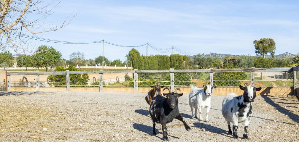 Rural Villa Na Banya
