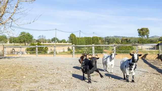 Rural Villa Na Banya