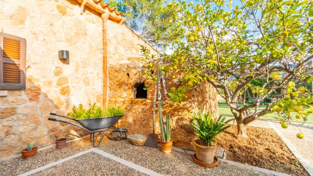 Rural Villa Can Peix