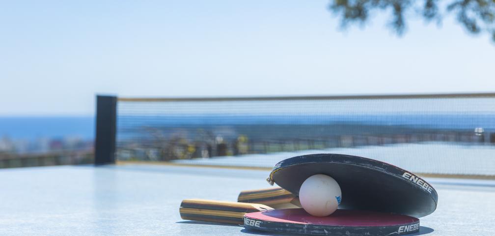 Rural Villa Son Galta