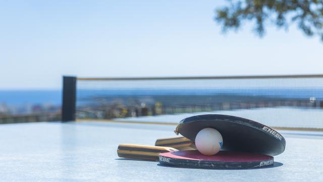 Rural Villa Son Galta