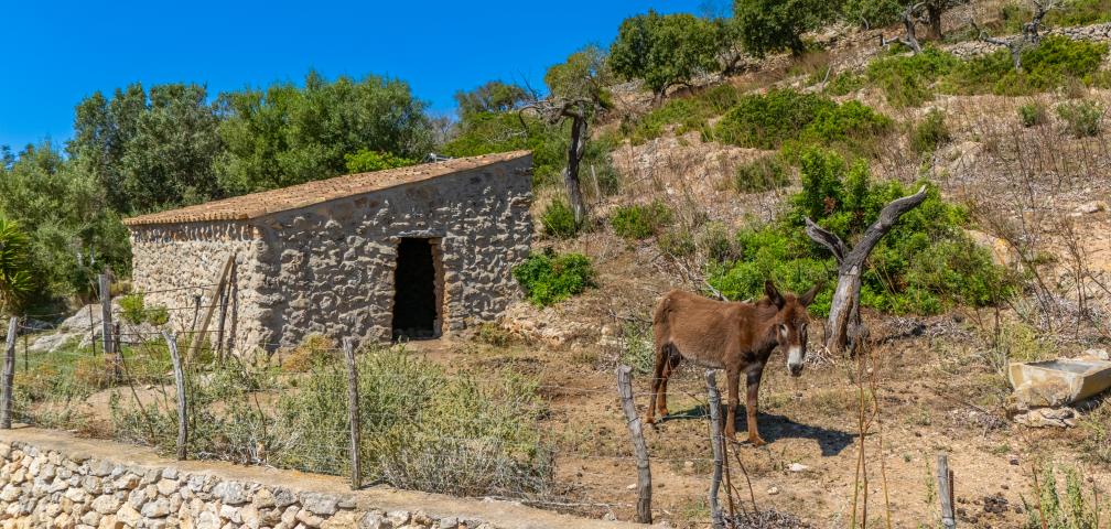 Rural Villa S'Esquerda
