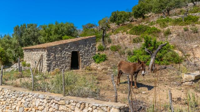 Rural Villa S'Esquerda