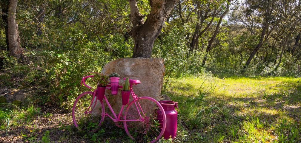 Rural Villa Na Creu Vella