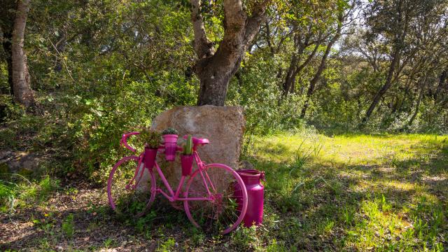 Rural Villa Na Creu Vella