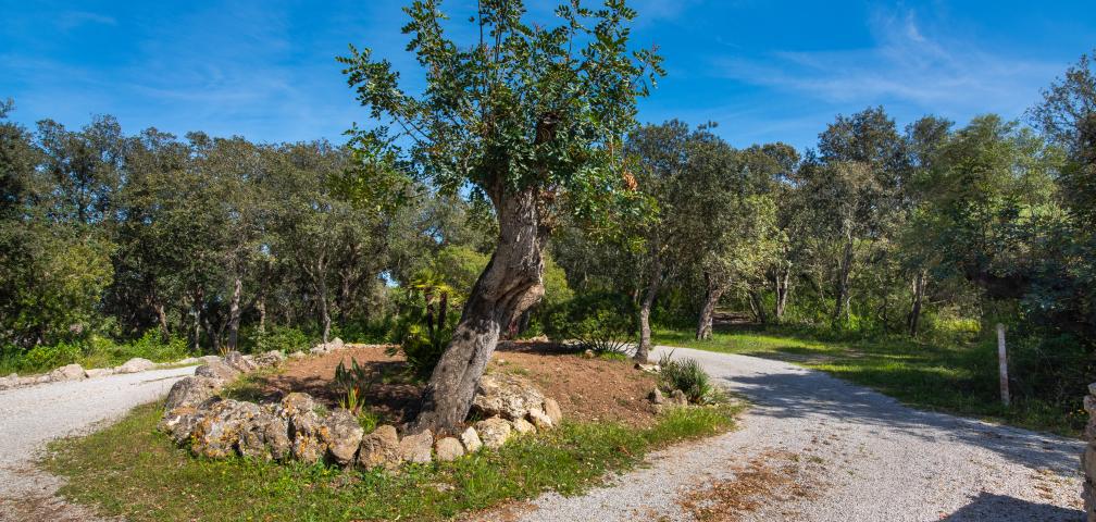 Rural Villa Na Creu Vella